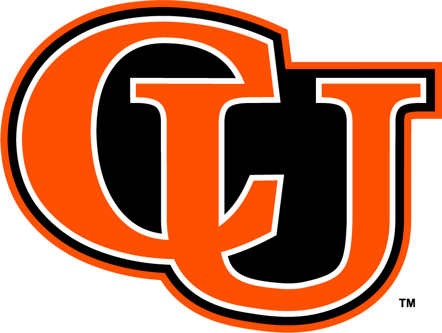 Campbell Fighting Camels 2005-2008 Secondary Logo v3 diy iron on heat transfer
